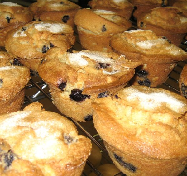 Gluten Free Blueberry Muffins Bulk Case (24 Count) - Image 2